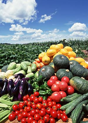 ギフトに最適なドイツソーセージ