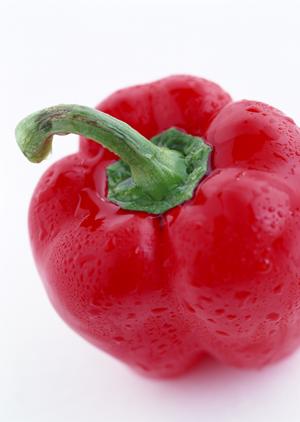 次元が違う味わいの餃子をお取り寄せで