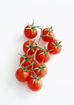 京都で人気の高いハンバーガー店を紹介