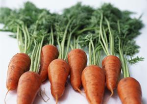 中目黒でフレンチ料理を食べるなら