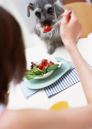 居酒家 土間土間 横浜駅前店 – 地元の人々に愛される居酒屋の魅力