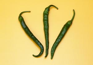 札幌の絶品スープカレー!奥芝商店 実家店の魅力と店舗情報