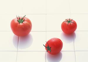 家族で楽しむ和菓子の魅力とお土産に最適な選び方ガイド