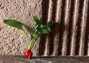 高崎で本格的なディナーが味わえる